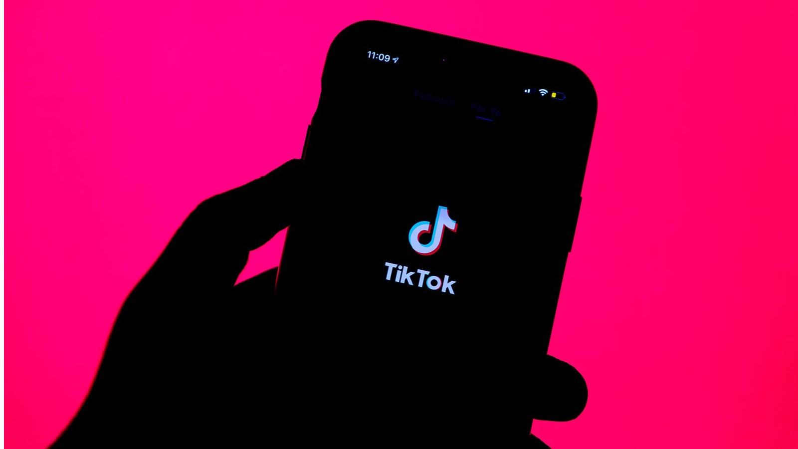 An image of the TikTok app loading page on a phone with a bright background
